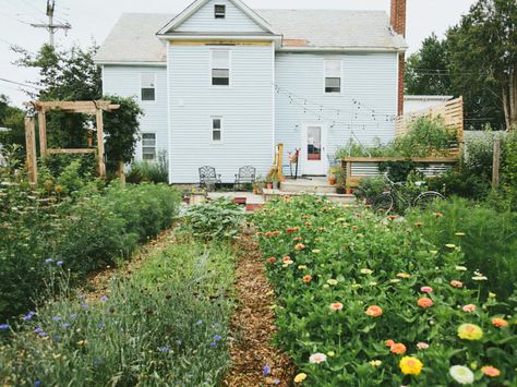 3 Ways To "Rewild" Your Home Garden To Support Biodiversity Rows Of Flowers, Burlington Vermont, Perennial Border, Natural Pest Control, Cut Flower Garden, Backyard Farming, Community Gardening, Gnome Garden, Organic Farming