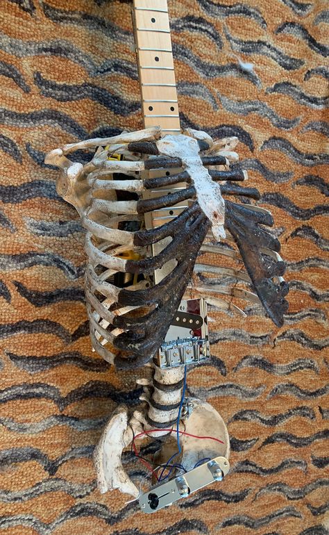 Human skeleton guitar Real Skeleton, Kawaii Bedroom, Human Skeleton, Real Bones, Skeleton Art, A Skeleton, Photography Challenge, Art Diary, Guitar Art