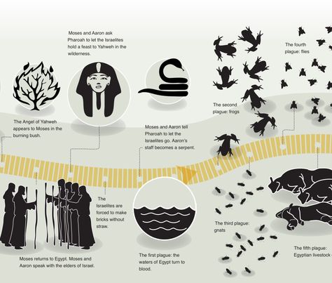 Life of Moses infographic | Exod 2:23-9:1 #exodus Bible Study Exodus, Life Of Moses, Moses Exodus, Burning Bush, Sunday School Activities, Bible Characters, Christian Bible Study, Bible Time, Youth Ministry