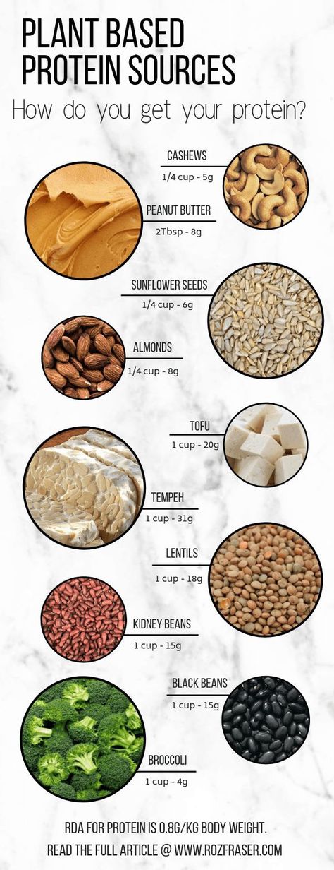 Protein Guide, Whole Foods Plant Based, Plant Based Protein Sources, High Protein Foods, Vegetarian Protein Sources, Vegan Protein Sources, Vegetarian Protein, High Protein Vegan, Vegan Nutrition