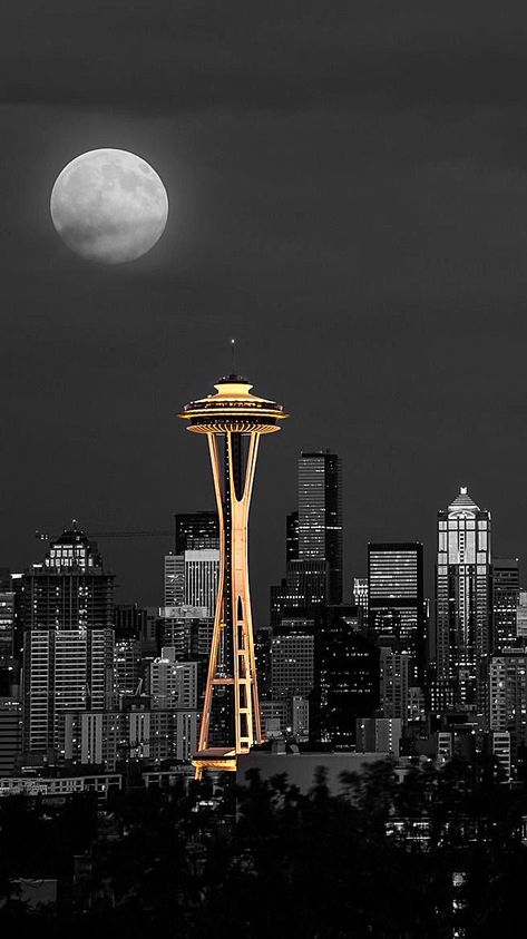 Seattle Greys Anatomy, Greys Anatomy Seattle, Grey's Anatomy Aesthetic Wallpaper, Greys Anatomy Aesthetic, Greys Anatomy Wallpaper, Seattle Wallpaper, Seattle Aesthetic, Wallpaper City, Seattle Photography