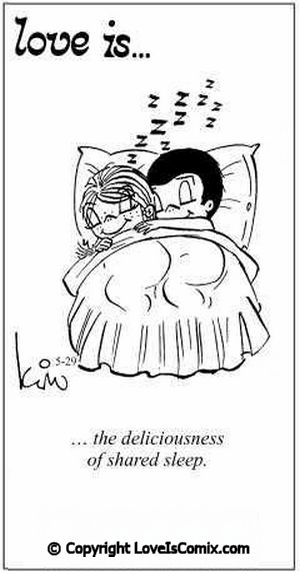 The deliciousness of shared sleep. Love Is Cartoon, Love Is Comic, Life Quotes Love, My Funny Valentine, Love My Husband, Love Is, Sweet Words, Electrical Engineering, Love Pictures