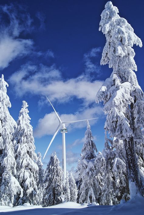 Grouse Mountain, Ski Hill, Mountain Snow, Snow Mountains, Vancouver Bc Canada, Studio Ghibli Art, North Vancouver, Snow Mountain, Ghibli Art