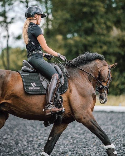 Equestrian Show Outfit, Dark Brown Horse Aesthetic, Horse Tack Aesthetic, Outfit Equitation, English Riding Aesthetic, Equestrian Outfits Aesthetic, Dressage Aesthetic, Equestrian Instagram, Horseback Riding Aesthetic