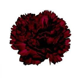 Flower Library, Maroon Flowers, Burgundy Wedding Flowers, Wedding Flower Guide, Red Carnation, Jewel Tone Wedding, Flower Guide, Diy Wedding Bouquet, Wedding Decor Inspiration