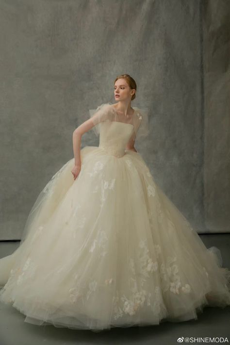 Cathedral Length Wedding Dress, Fairytale Ball, Bridgerton Wedding, Korean Wedding Dress, Plain Wedding Dress, Fairy Wedding Dress, Celebrity Wedding Dresses, Wedding Dress Champagne, Gowns Dresses Elegant