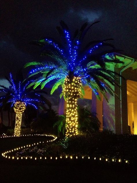 Janmashtami 2023, Palm Tree Christmas Lights, Commercial Christmas Lights, Professional Christmas Lights, Christmas Palm Tree, Christmas Lights Outside, Christmas Light Show, Christmas Light Installation, Florida Christmas