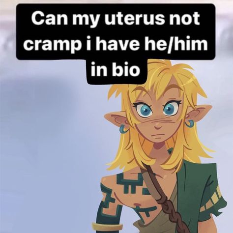 Trans Link, Dream Realm, Link Botw, Legend Of Zelda Characters, Botw Zelda, Legend Of Zelda Memes, Zelda Funny, Midlife Crisis, Dream World