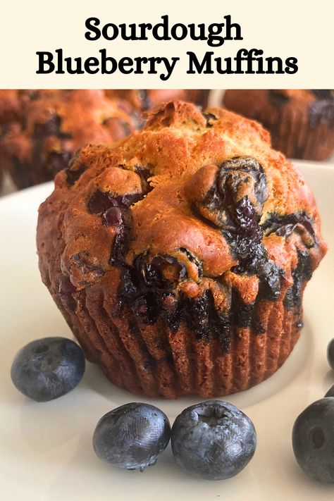 Easy Sourdough Blueberry Muffins - Old-Fashioned Inspiration Sourdough Discard Blueberry, Sourdough Discard Muffins, Discard Muffins, Sourdough Blueberry Muffins, Sourdough Blueberry, Pizza Naan, Lemon Muffin Recipes, Sourdough Banana, Sourdough Waffles