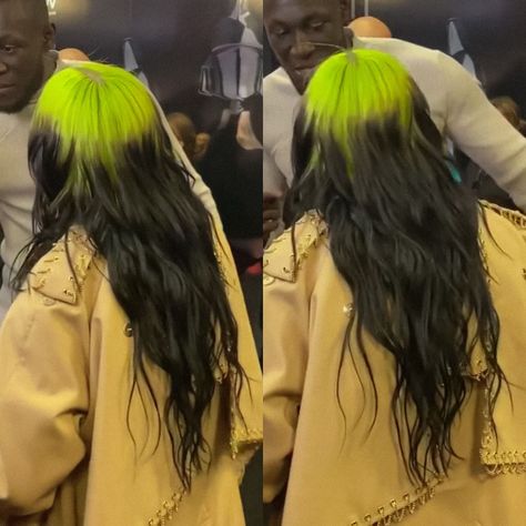 Billie Eilish Hair, Groupie Love, Colored Hair Roots, Y2k Hair, Hair Roots, Hair Coloring, Colored Hair, Dye My Hair, Roots Hair