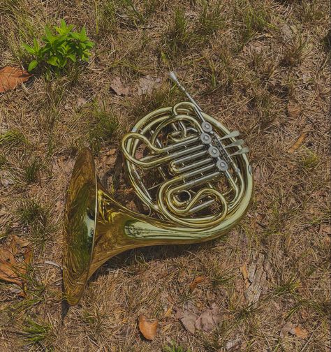 French horn aesthetic, gold french horn, band aesthetic, pretty instruments, brass French Horn Aesthetic, Horn Aesthetic, Pretty Instruments, French Horns, Class Memes, Band Aesthetic, Aesthetic Gold, Aesthetic Pretty, Band Kid