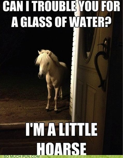 Welcome to the Neigh-borhood Horse Puns, Doug Funnie, Funny Horses, Animal Funny, Horse Quotes, Funny Horse, E Mc2, Funny Funny, E Card