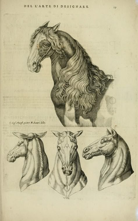 Horse illustrations by Crispijn van de Passe. From ‘La Prima Parte Della Luce del Dipingere et Disegnare.’ Published 1643. Getty Research Institute Horse Engraving, Antique Scrapbook, Digital Typography, Vintage Tattoo Design, Medieval Artwork, Horse Anatomy, Scifi Fantasy Art, Rennaissance Art, Horse Illustration