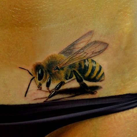 Honey Bee Tattoo, Amazing 3d Tattoos, Tattoo Over Scar, Bumble Bee Tattoo, Chrysanthemum Tattoo, Lion Head Tattoos, Pencil Drawings Of Animals, Cartoon Character Tattoos, Forest Tattoos