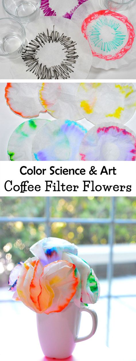 Science & Art For Kids: learn what paper chromatography is and what each color is made up of. This activity makes a fun craft project, too! Flower Science, Paper Chromatography, Color Science, Science Experiments For Preschoolers, Coffee Filter Flowers, Art Projects For Kids, Preschool Science, Coffee Filters, Science Experiments Kids