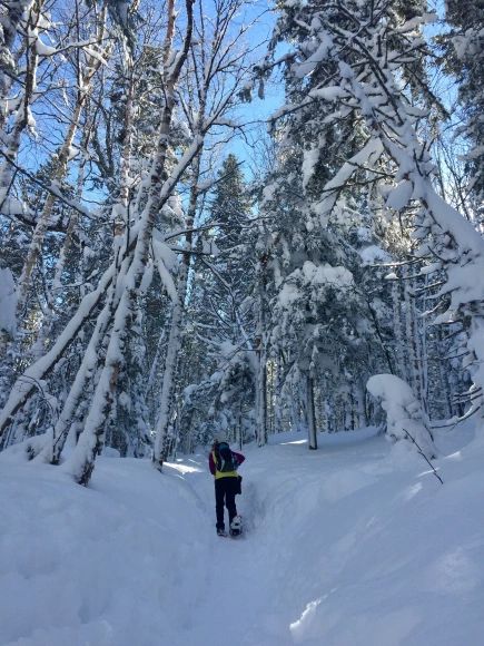 New Hampshire In Winter, Waterville Valley New Hampshire, Franconia New Hampshire, Hiking Gear List, White Mountains New Hampshire, Winter Hike, Places To Rent, Winter Running, Mount Washington