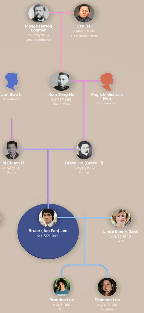 Bruce Lee’s Family Tree - Bruce Lee Blog Jewish Ancestry, Bruce Lee Family, Bruce Lee Pictures, Ip Man, Western Medicine, Chinese Opera, Moving To California, Martial Artist, Guy Pictures