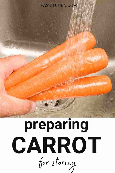 A photo of vibrant carrots with text overlay reading 'Storing Carrots the Right Way: Tips for Extended Freshness and Flavor.' These simple tips will help keep your carrots crisp and tasty for longer. Perfect for anyone looking to make their veggies last! 🥕✨ #CarrotTips #Freshness #KitchenHacks Best Way To Store Carrots In The Fridge, Storing Carrots In Fridge, How To Save Fresh Carrots, How To Freeze Carrots From The Garden, Can You Freeze Carrots Raw, Storing Carrots, How To Store Carrots, Reduce Food Waste, Root Vegetables