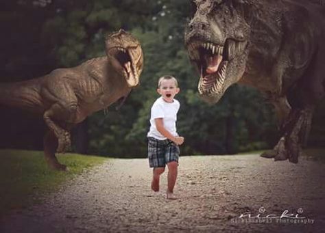 Dinosaurs | Jurassic Park | Little Boy Photography | NickiRashell Photography Dinosaur Photography, Dinosaur Photo, Background Backdrop, Surreal Artwork, How To Use Photoshop, Photoshop Overlays, Boy Photography, Digital Backgrounds