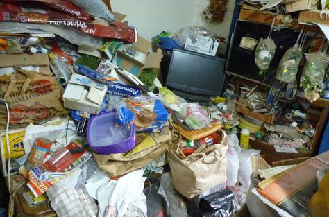 Hoarders Before And After, Trashcore Aesthetic, Shelving Solutions, Cleaning Motivation, Photo Caption, After Pictures, Trash Bag, Before And After Pictures, Dream Job