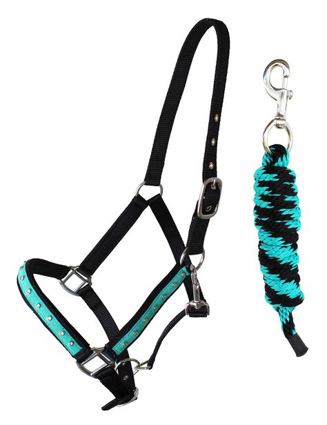 PRICES MAY VARY. Average Horse Size Black Teal Turquoise Challenger nylon halter comes double stitched for durability. Features rust-free stainless steel hardware. Neoprene padding along, cheeks and nose for comfort. Halter is accented with matching color rhinestone inlays along cheeks and nose. Includes matching Lead rope Challenger nylon halter comes double stitched for durability. Cute Halters For Horses, Teal Horse Tack, Halters For Horses, Lead Rope, Teal Turquoise, Horse Stuff, Horse Tack, Color Matching, Rust