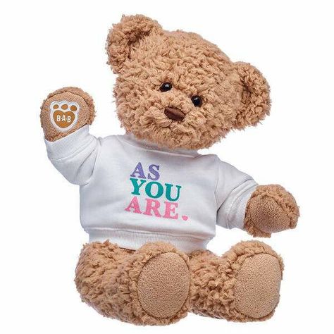 Teddy Bear Toys, Teddy Bear Picnic, Animal Sweatshirt, Fun Sweatshirts, Party Stores, Build A Bear, Bear Toy, Shopping Sites, Brown Bear