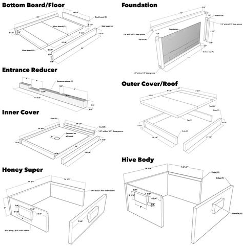 Beehive Diy, Diy Bee Hive, Building A Beehive, Honey Bee Farming, Backyard Beehive, Bee Keeping Hives, Honey Bees Keeping, Bee Hives Diy, Langstroth Hive