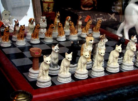 Cat Chess Board, Vintage Crib, Sports Fonts, Chess Set Unique, Strategy Board Games, Cat Vs Dog, Chess Table, Gaming Decor, Chess Pieces