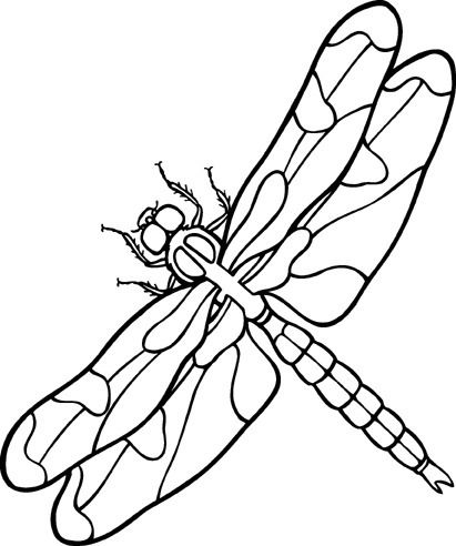 Dragonfly+by+LizHavlin. Dragonfly Art Diy, Dragonfly Template, Dragonfly Yard Art, Dragonfly Clipart, Dragonfly Artwork, Dragonfly Drawing, Dragonfly Painting, Dragonfly Art, Dragonfly Tattoo