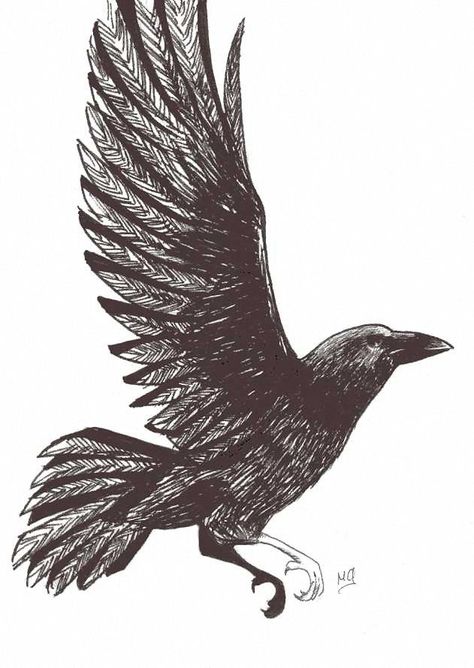 crows flying drawing - Google Search Crow Collage, Crow Drawing, Crow Flying, Crow Images, Crows Drawing, Raven Bird, Crow Tattoo, Raven Tattoo, Crow Art