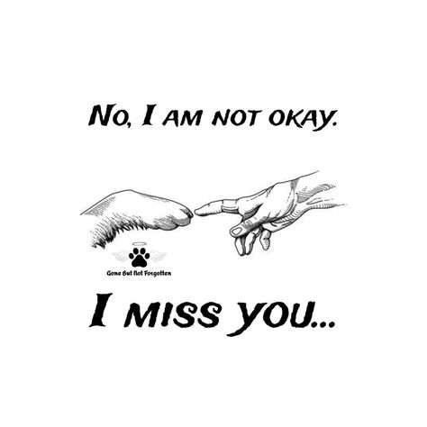 Losing A Dog Quotes, Losing A Pet Quotes, Dog Heaven Quotes, I Miss My Cat, Miss My Dog, Breathing Fire, Animal Tattoo Ideas, Gone But Not Forgotten, Dog Quotes Love