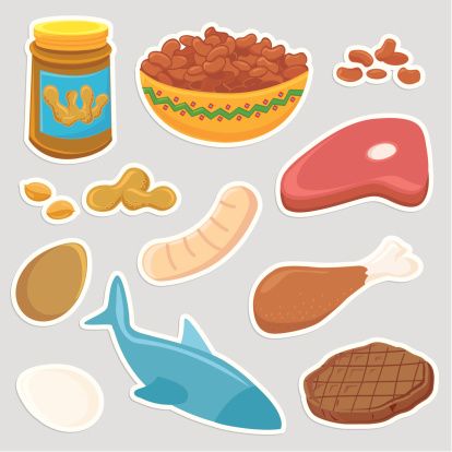 Protein Clipart Free Download | 68 Protein free illustrations Protein Foods Drawing, Protein Pictures, Protein Drawing, Protein Illustration, Food Clipart, Clipart Free, Food Stickers, High Protein Diet, Cub Scouts