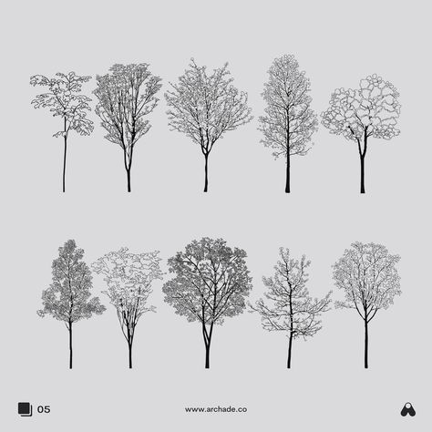 Trees For Architecture Drawing, Tree Isometric Architecture, Tree Vector Architecture, Tree Axonometric, Tree Section Architecture, Tree Illustration Architecture, Tree Photoshop Architecture, Autocad Trees, Tree Dwg