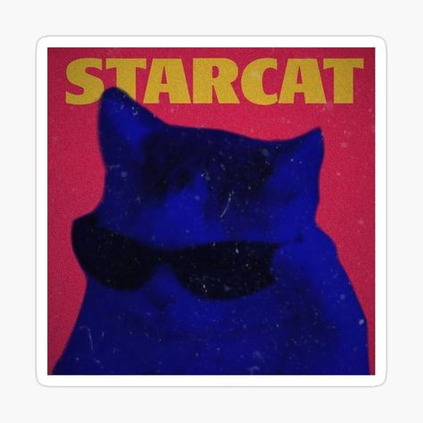 The Weeknd Cat Pfp, Cat Music Icon, The Weeknd Cat, Album Covers Funny, Weekend Pfp, Cat Album Covers, Album Cover Pfp, Starboy Pfp, Starboy Album Cover