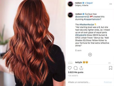 Red Hair Formulas, Copper Hair Dark, Beer For Hair, Red Copper Hair Color, Sunset Hair, Redken Hair Color, Copper Red Hair, Color Formulas, Redken Hair Products