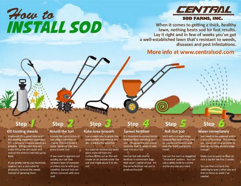 Installation Instructions - Soil Prep Reseeding Lawn, How To Lay Sod, Backyard Dog Area, Arizona Backyard, Sod Installation, Seeding Lawn, Diy Lawn, Landscaping Business, Backyard Plants