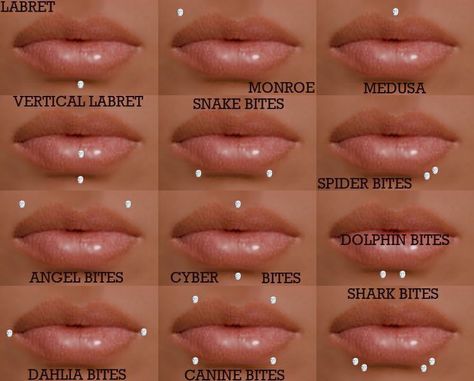 Pin on designs Mouth Piercings Chart, Mouth Piercings Lips, Face Piercings Chart, Piercing No Rosto, Cute Facial Piercings, Piercings Lip, Mouth Piercings, Lip Piercing Jewelry, Ear Piercings Chart