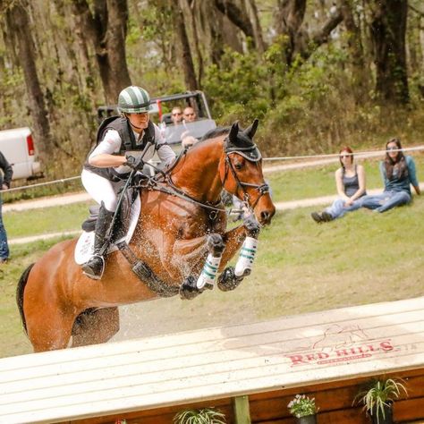 Eventing Explained: How to Learn Gallop Pace for Cross-Country - Heels Down Mag Olympic Horses, Cross Country Jumps, Equestrian Aesthetic, Beautiful Horse Pictures, Eventing Horses, Horse Dressage, Horse Aesthetic, Horse Quotes, The Hunter