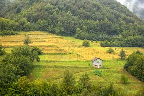 Alone by EdVal. Alone old wooden house on a hill in a mountain. Idyllic view #Sponsored #house, #wooden, #EdVal, #hill Old Wooden House, Lucid Dreams, Fluffy Cows, Speed Painting, Faith Hill, School Art Projects, Cute House, Forest House, A Hill