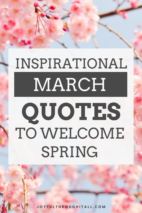 Welcome March! Inspirational March Quotes for Motivation and Life Welcome March, March Quotes, Quotes For Motivation, Self Growth Quotes, Growth Mindset Quotes, March Month, Growth Quotes, Success Affirmations, Welcome Spring