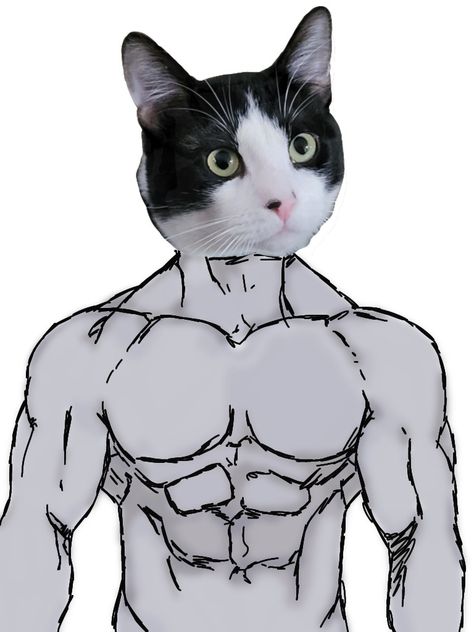 Buff black n white cat Buff Cats Drawings, Cat With Muscles Drawing, Buff Cat Doodle, Muscle Cat Drawing, Buff Sketch, Buff Drawing Reference, Buff Cat Drawing, Buff Cat, Mustache Drawing