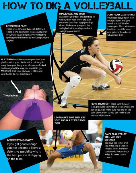 infographic2_claudiacoco.gif (792×1008) Libero Volleyball, Volleyball Jokes, Volleyball Conditioning, Volleyball Motivation, Volleyball Tryouts, Youth Volleyball, Volleyball Memes, Photographie Indie, Volleyball Skills