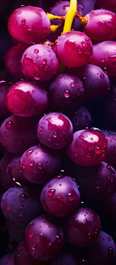 Grape Wallpaper, Drops Of Water, Fruits Images, Fruit Wallpaper, Iphone Wallpaper Hd Nature, Fruit Photography, Food Wallpaper, Beautiful Fruits, Phone Wallpaper Images