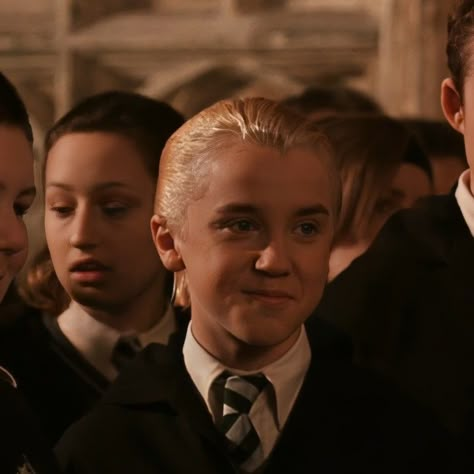 Tom Felton Young, Draco Malfoy Now, Blonde Ferret, Lucious Malfoy, Do I Like Him, Animal Quiz, Draco Lucius Malfoy, Sophia Black, Harry Potter Boys