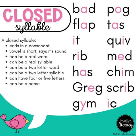 Teaching Spelling Rules, Teaching Punctuation, Teaching Syllables, Hello Literacy, Learning Phonics, Phonics Rules, Teaching Spelling, Classroom Anchor Charts, Phonics Instruction