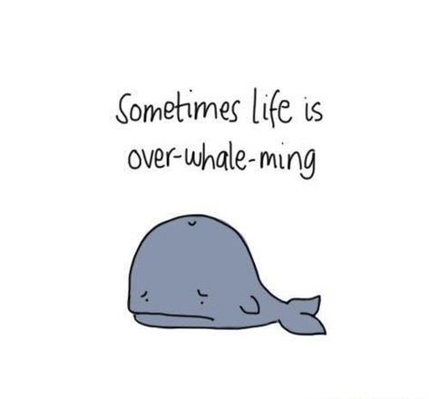 Only sometimes though — silly pun to brighten your day! #funnycute #cartoonwallpaper #punquotes #minimaldrawing #cartoonsfunny #handdrawndoodles #funnyjokes #coolartideas Cute Whale Puns, Whale Puns Funny, Pun Of The Day, Cute Puns Friends, Inspirational Puns, Sea Puns, Whale Quotes, Whale Puns, Positive Puns