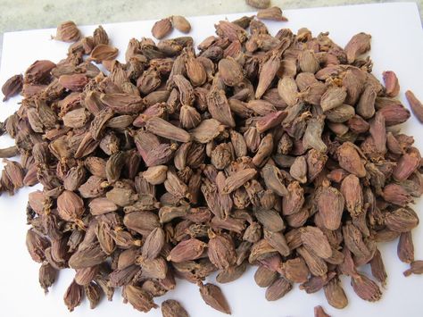 Black cardamom Manufacturers Black Cardamom, Indian Spices, Stuffed Mushrooms, India, Black