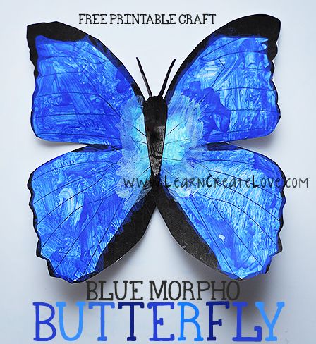 Printable Blue Morpho Butterfly Craft from LearnCreateLove.com Morpho Butterfly Craft, Rainforest Preschool, Rainforest Classroom, Rainforest Crafts, Rainforest Project, Rainforest Activities, Rainforest Theme, Butterfly Project, Butterfly Craft