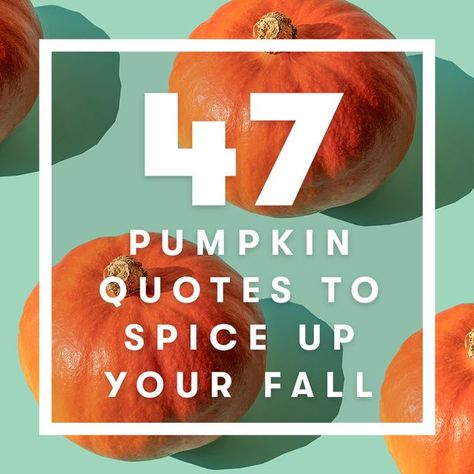 47 Best Pumpkin Quotes - Funny Pumpkin Puns Pumpkin Quotes Funny, Pumpkin Jokes, Pie Quotes, Pumpkin Puns, Christmas Vegetables, Pumpkin Quotes, Baking Quotes, Pumpkin Eater, It's The Great Pumpkin