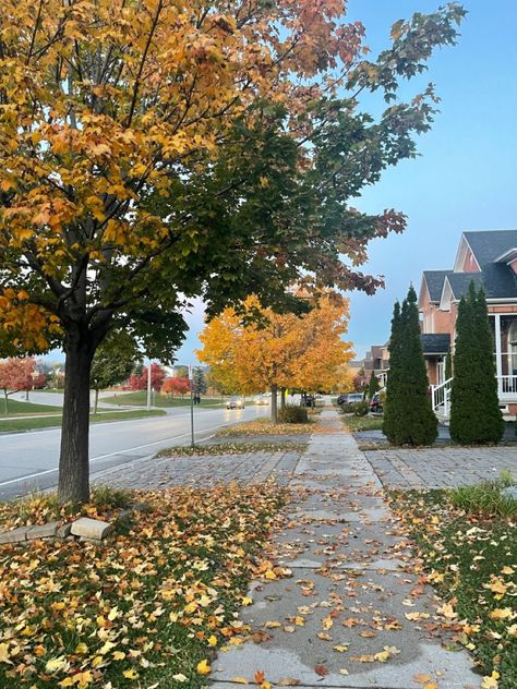 Suburbs Aesthetic, American Neighborhood, Autumn Ambience, Fall Foilage, Spooky Halloween Pictures, Home Styles Exterior, Usa House, Liminal Spaces, Pretty Landscapes